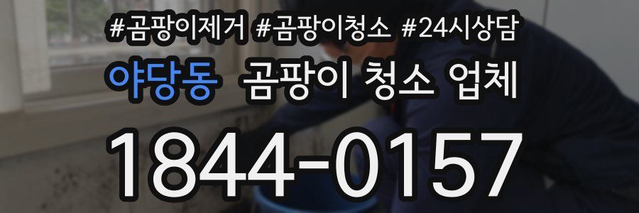 야당동 곰팡이 청소 업체