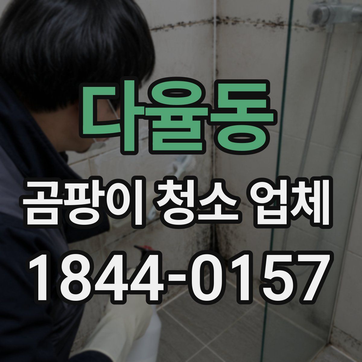 다율동 곰팡이 청소 업체
