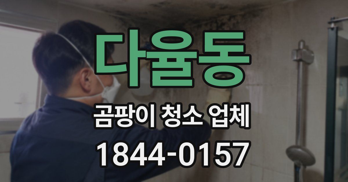 다율동 곰팡이 청소 업체
