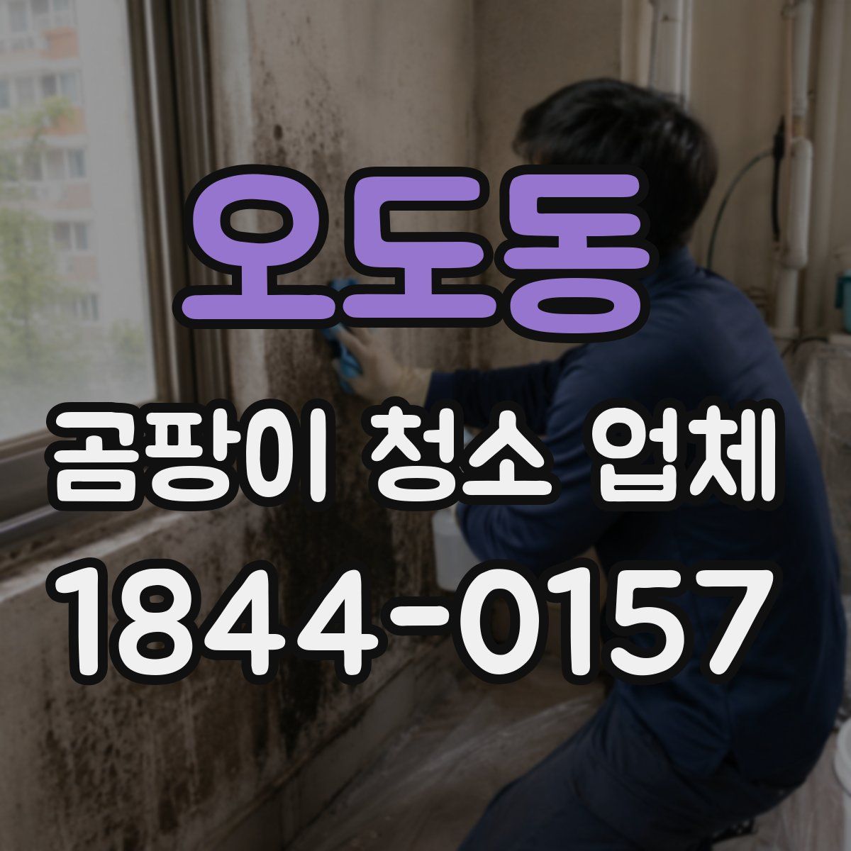 오도동 곰팡이 청소 업체