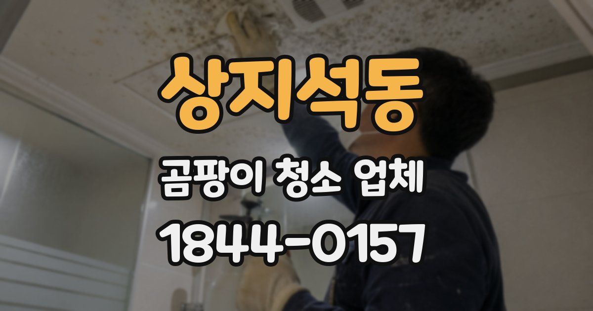 상지석동 곰팡이 청소 업체