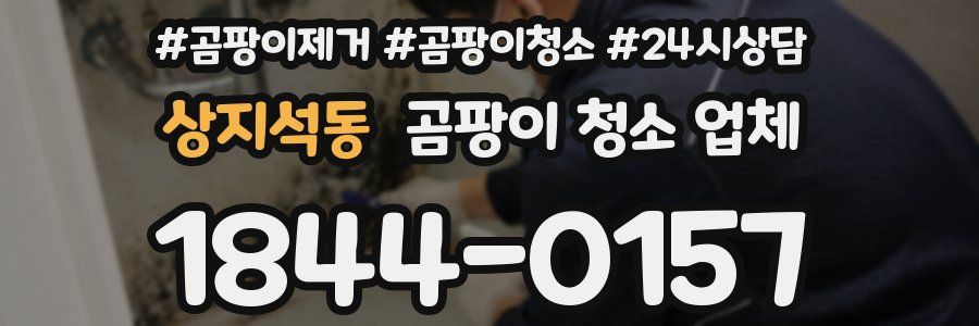 상지석동 곰팡이 청소 업체