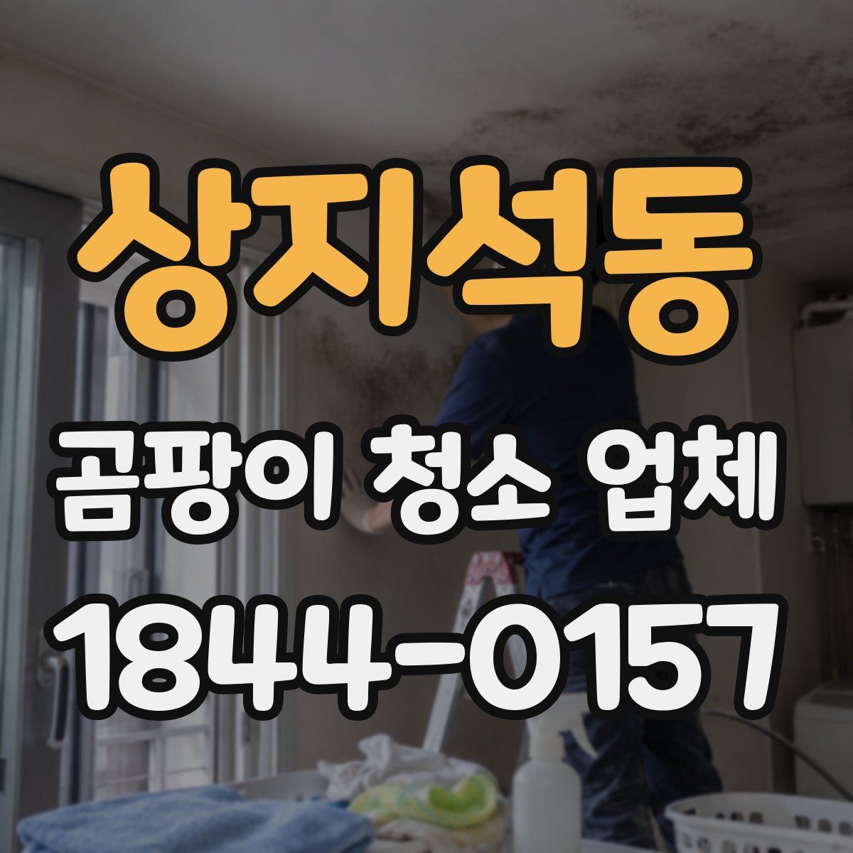 상지석동 곰팡이 청소 업체