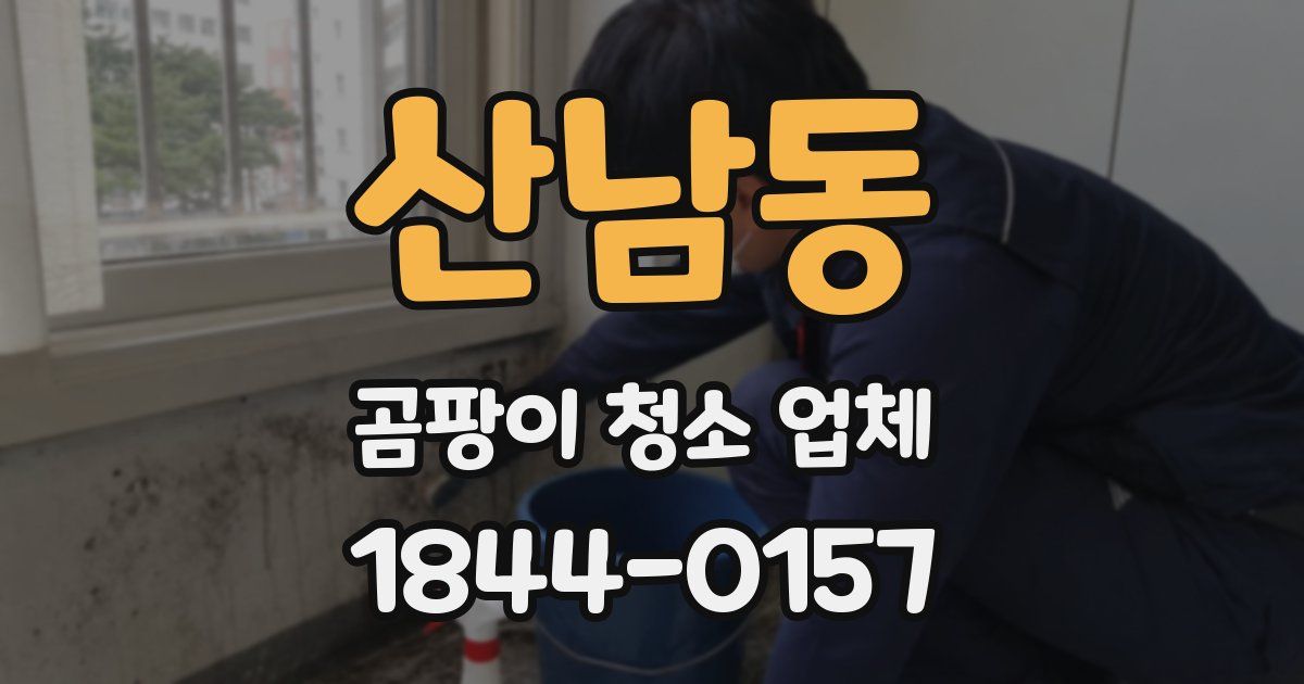 산남동 곰팡이 청소 업체