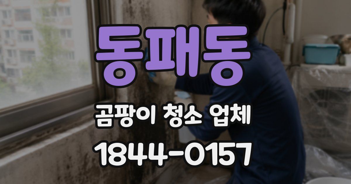 동패동 곰팡이 청소 업체