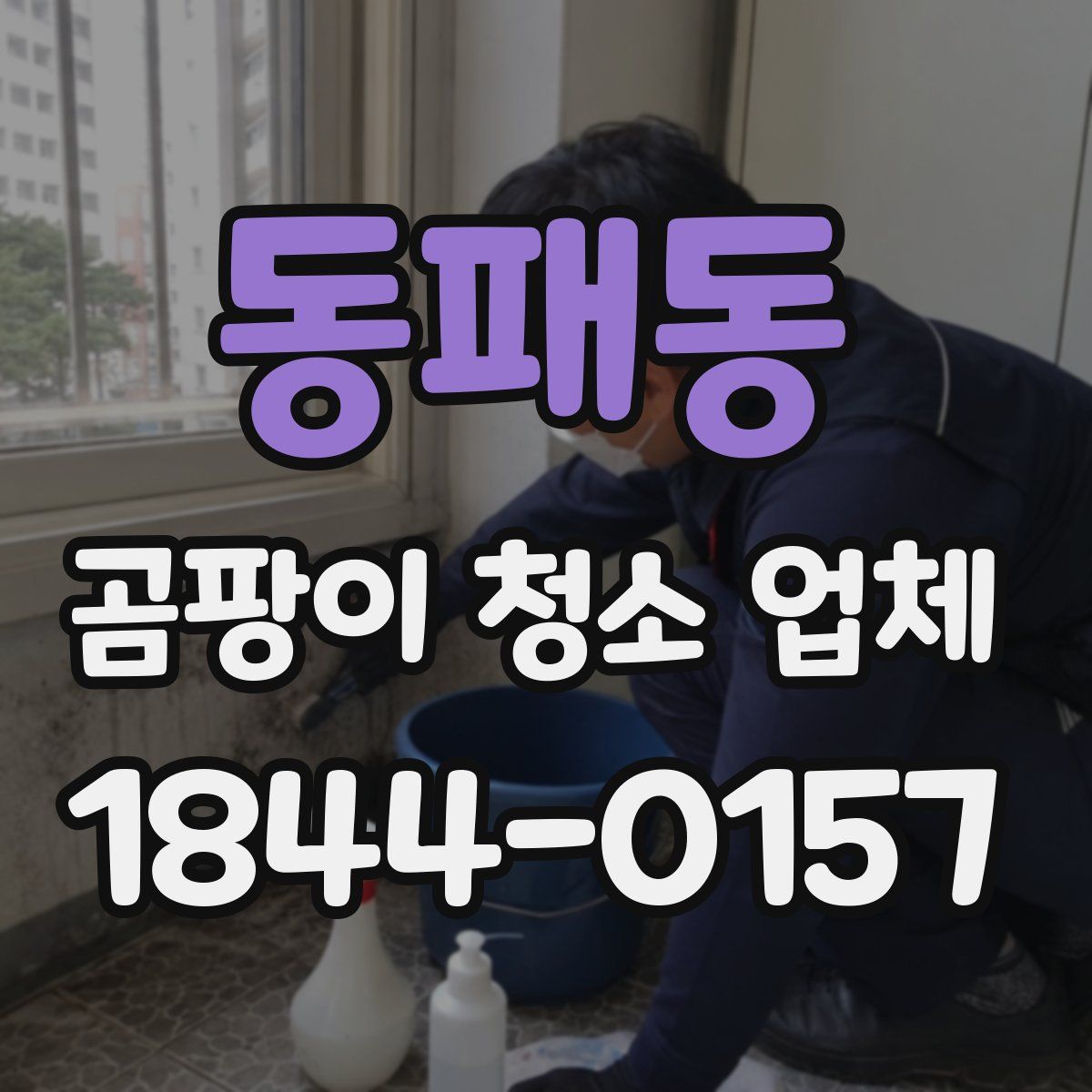 동패동 곰팡이 청소 업체
