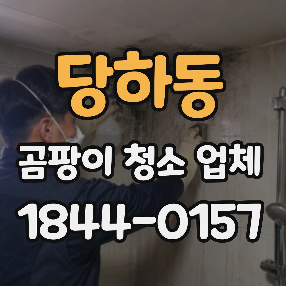 당하동 곰팡이 청소 업체