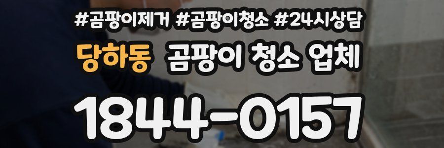 당하동 곰팡이 청소 업체