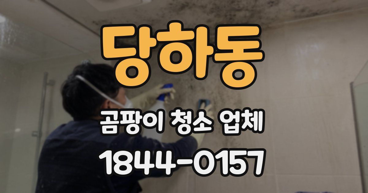 당하동 곰팡이 청소 업체