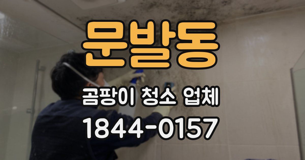 문발동 곰팡이 청소 업체