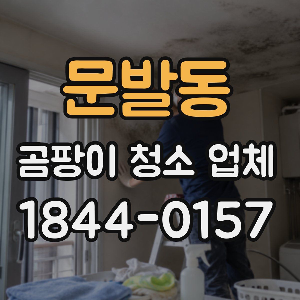 문발동 곰팡이 청소 업체