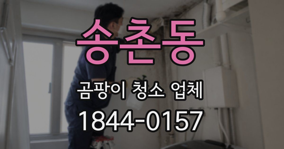 송촌동 곰팡이 청소 업체
