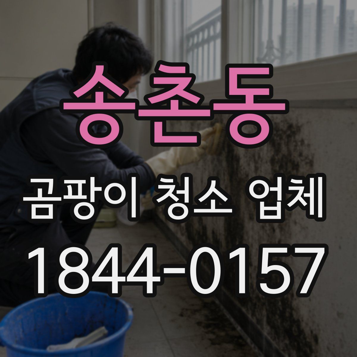 송촌동 곰팡이 청소 업체