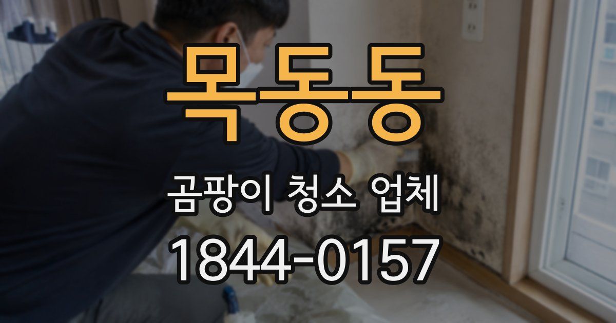 목동동 곰팡이 청소 업체