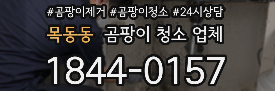 목동동 곰팡이 청소 업체