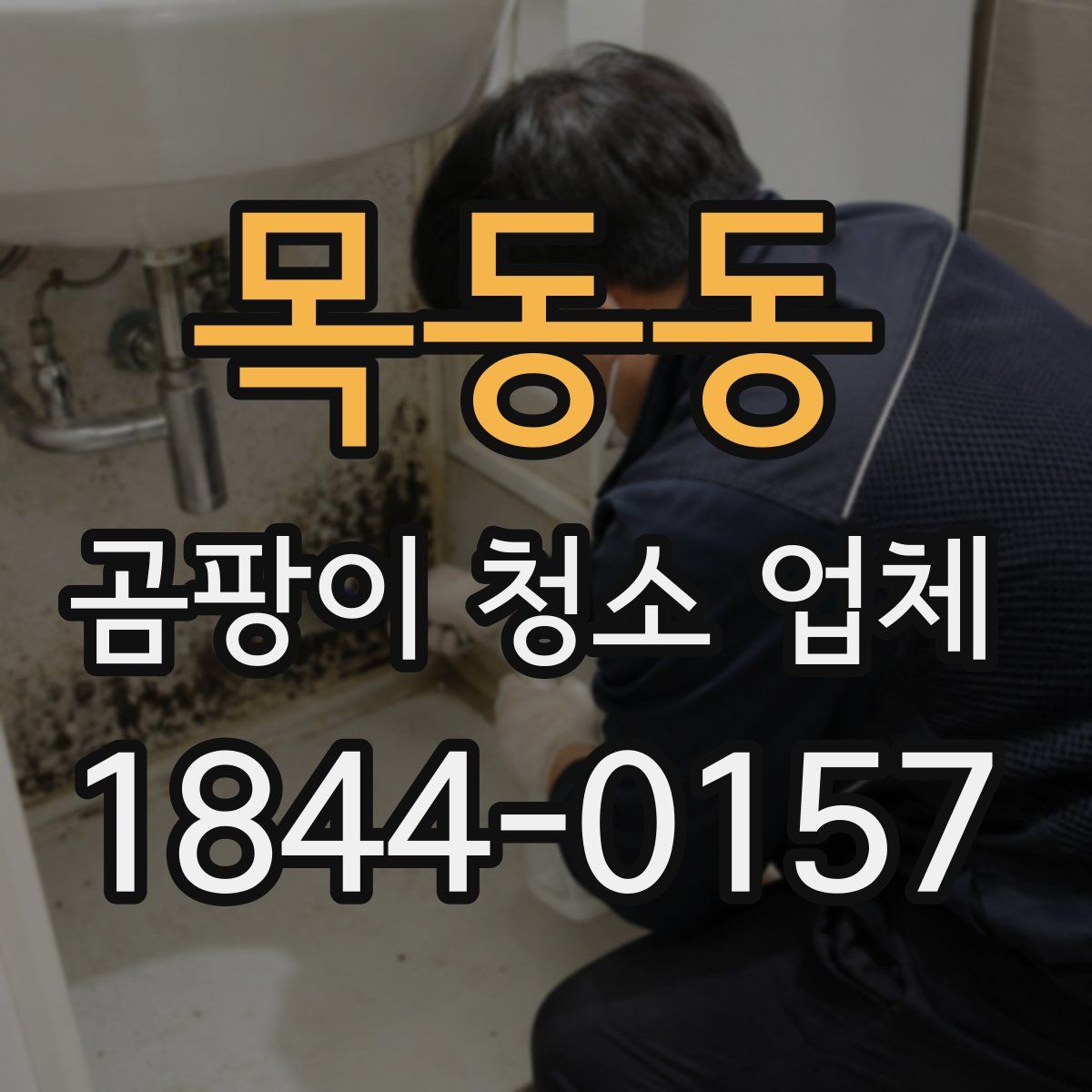 목동동 곰팡이 청소 업체