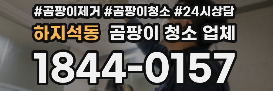 하지석동 곰팡이 청소 업체