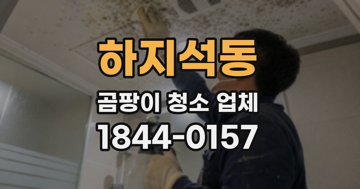 하지석동 곰팡이 청소 업체