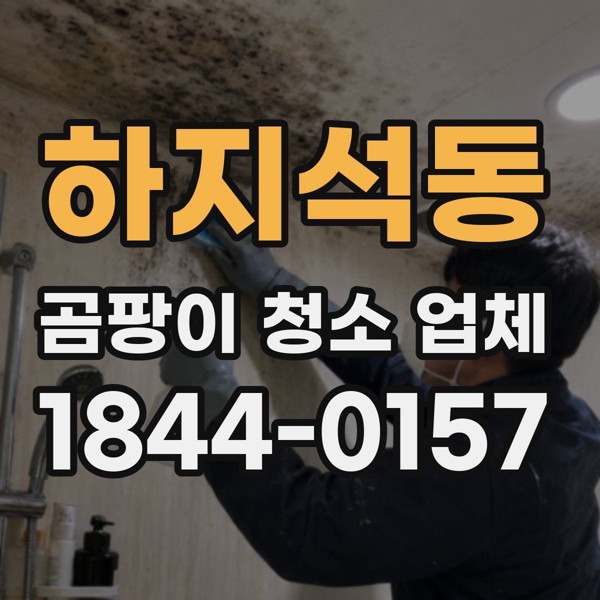 하지석동 곰팡이 청소 업체