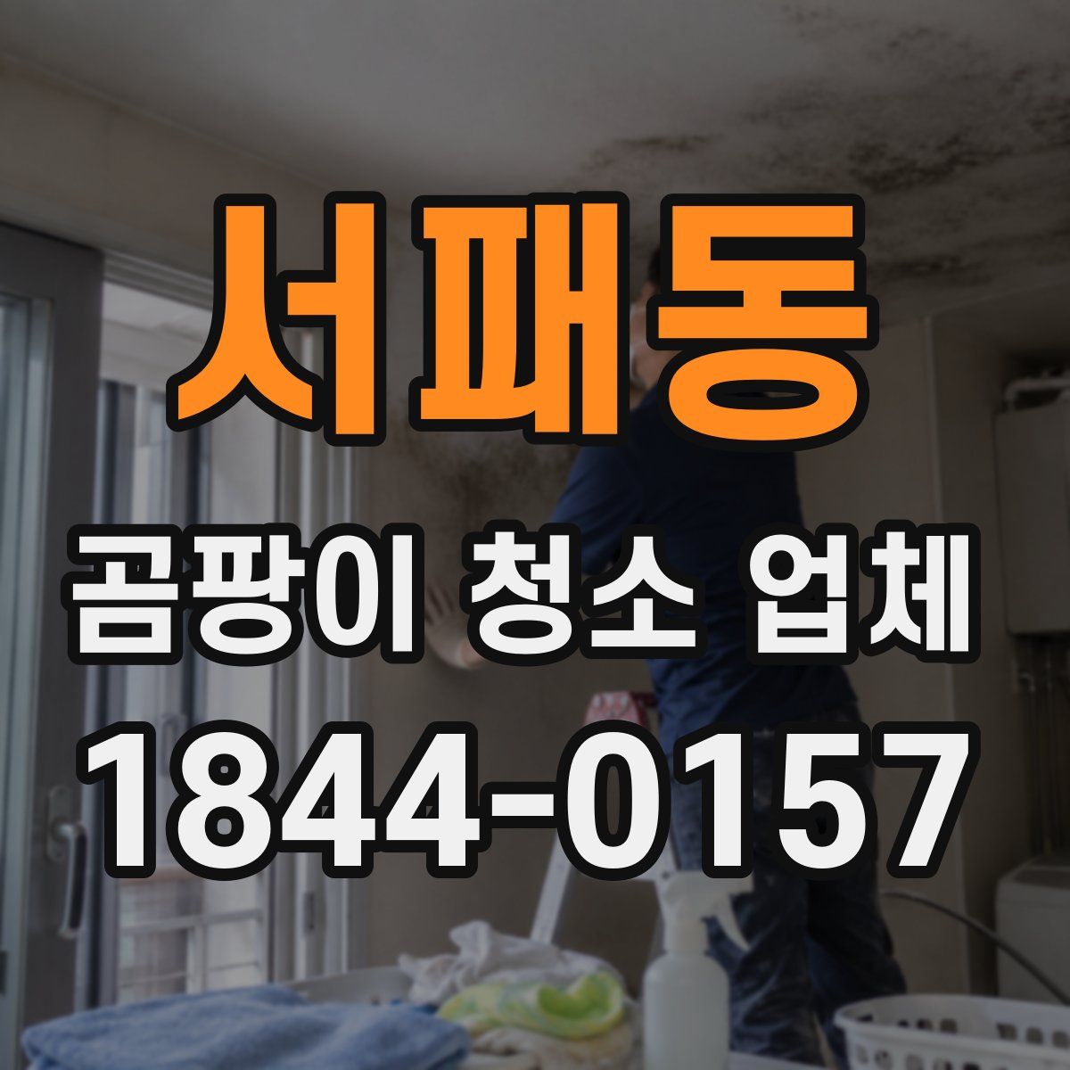 서패동 곰팡이 청소 업체