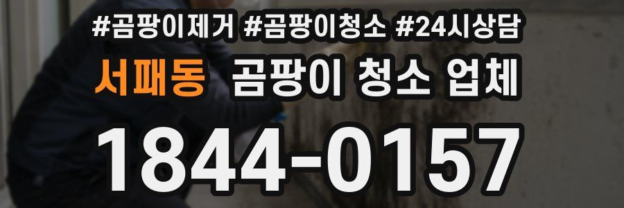 서패동 곰팡이 청소 업체