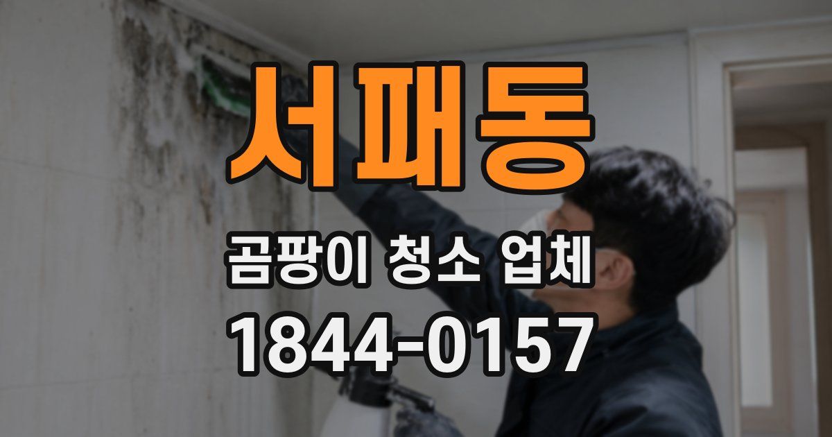 서패동 곰팡이 청소 업체