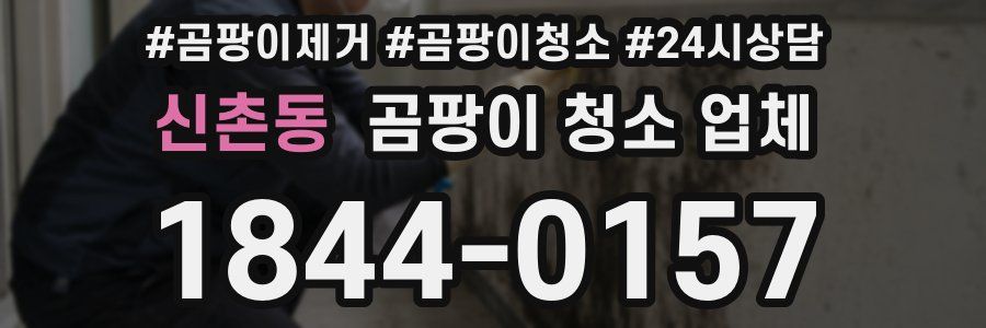 신촌동 곰팡이 청소 업체