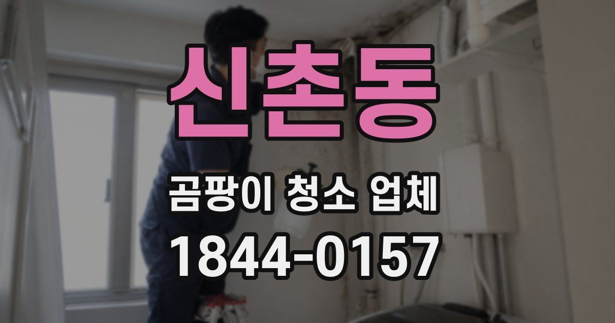 신촌동 곰팡이 청소 업체