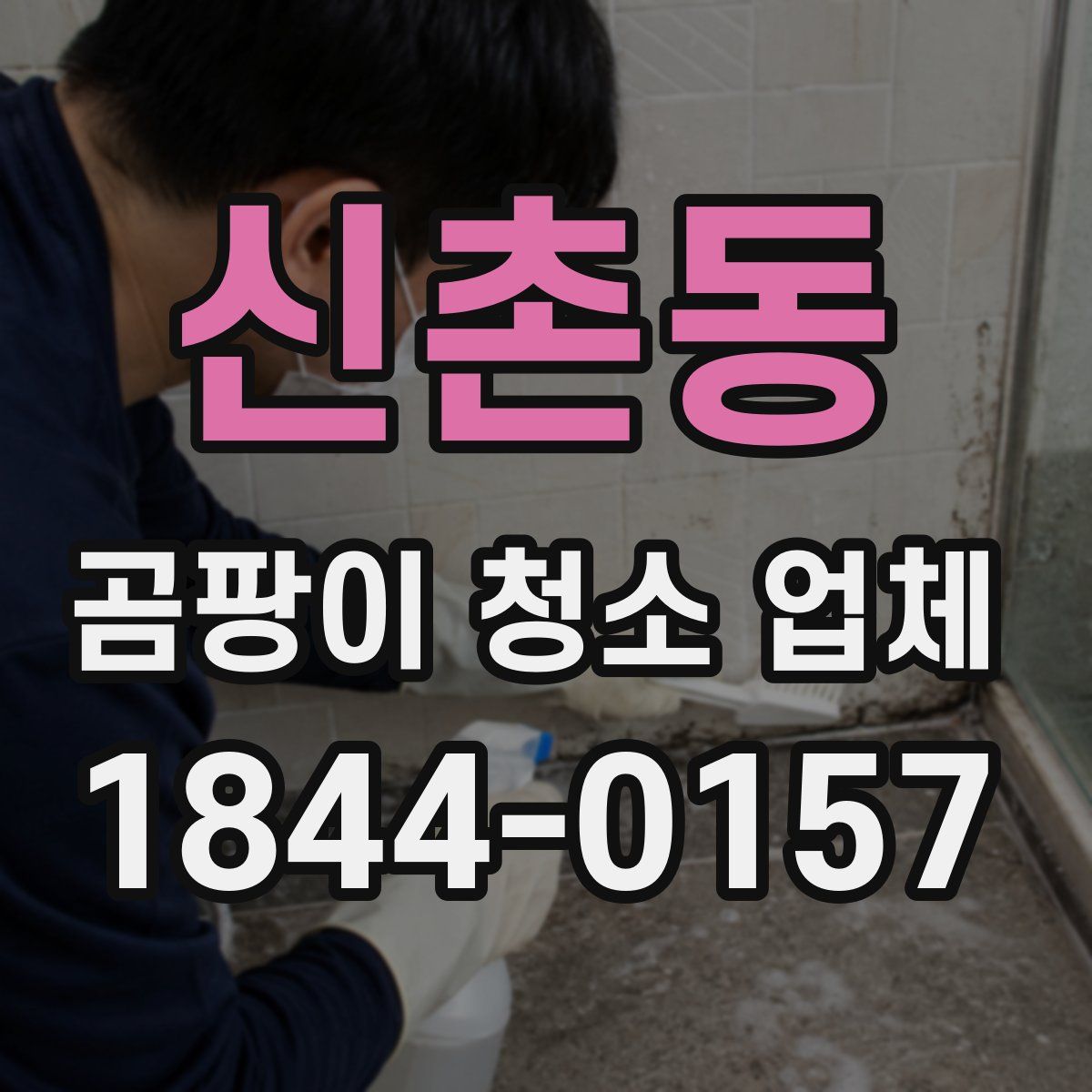 신촌동 곰팡이 청소 업체