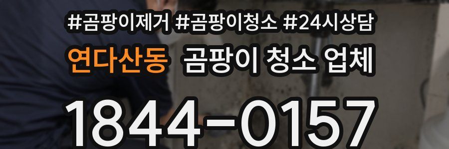 연다산동 곰팡이 청소 업체