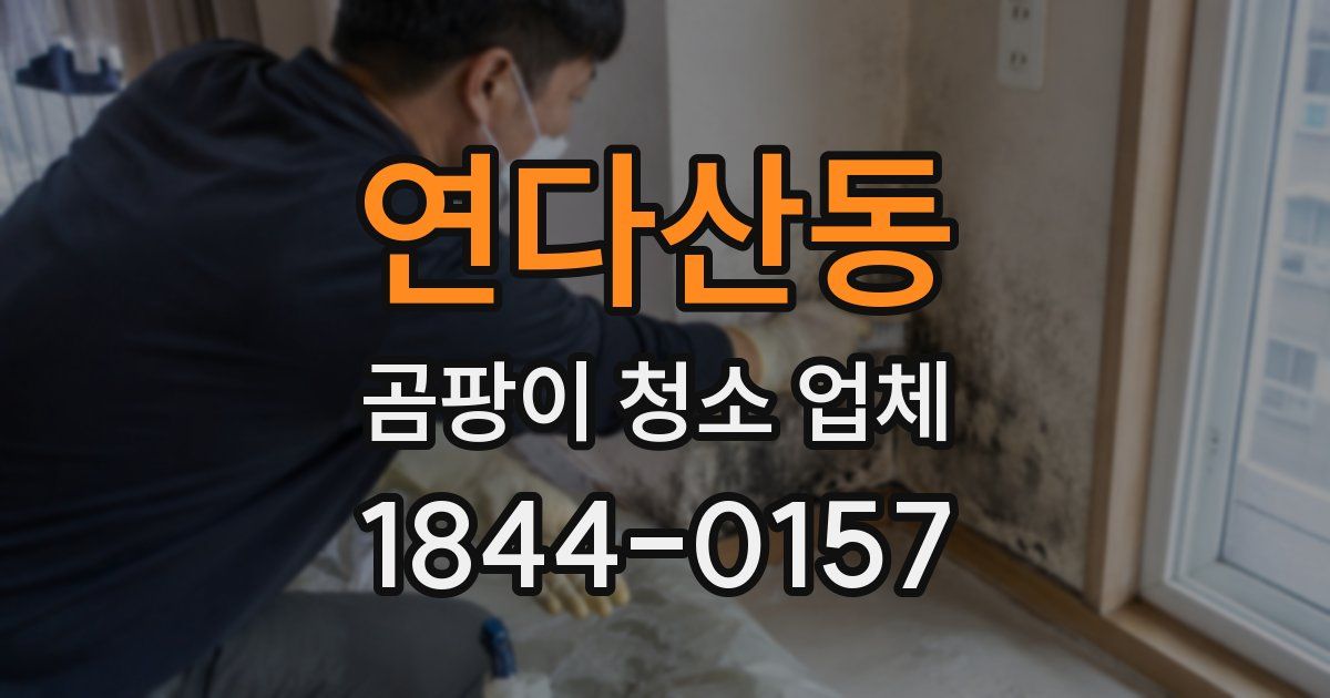 연다산동 곰팡이 청소 업체