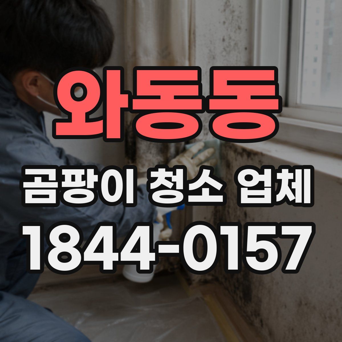 와동동 곰팡이 청소 업체
