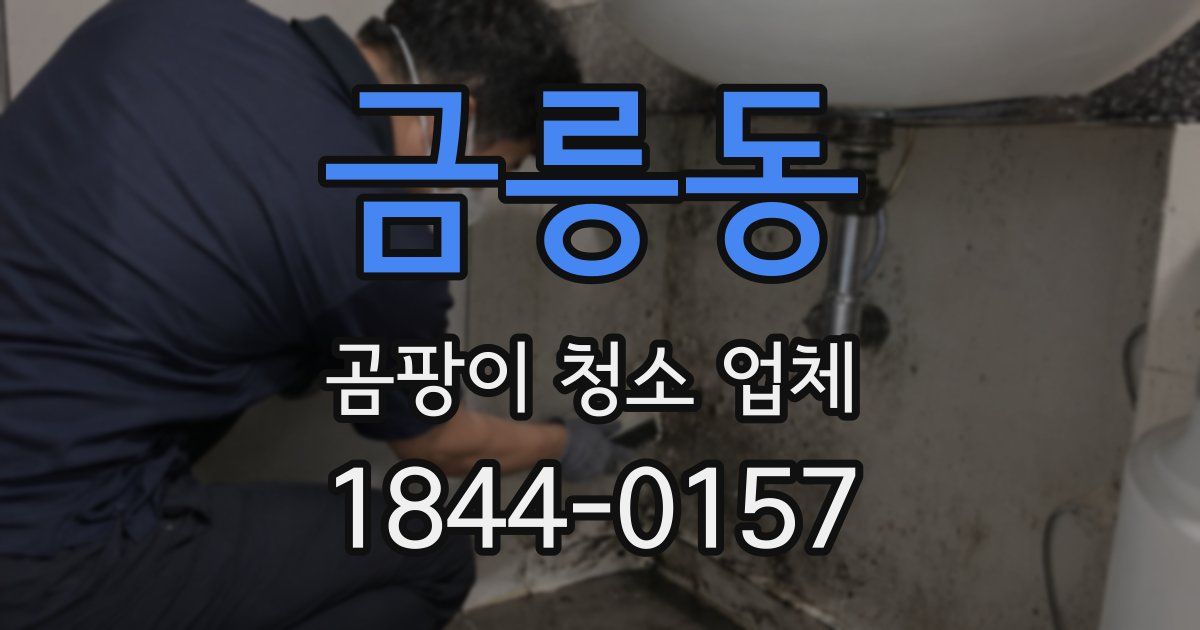 금릉동 곰팡이 청소 업체