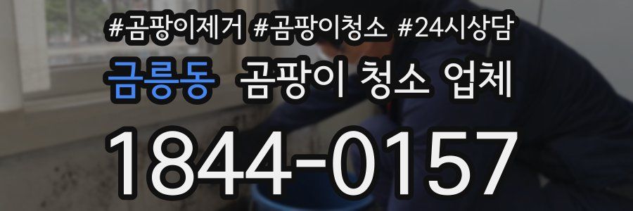 금릉동 곰팡이 청소 업체