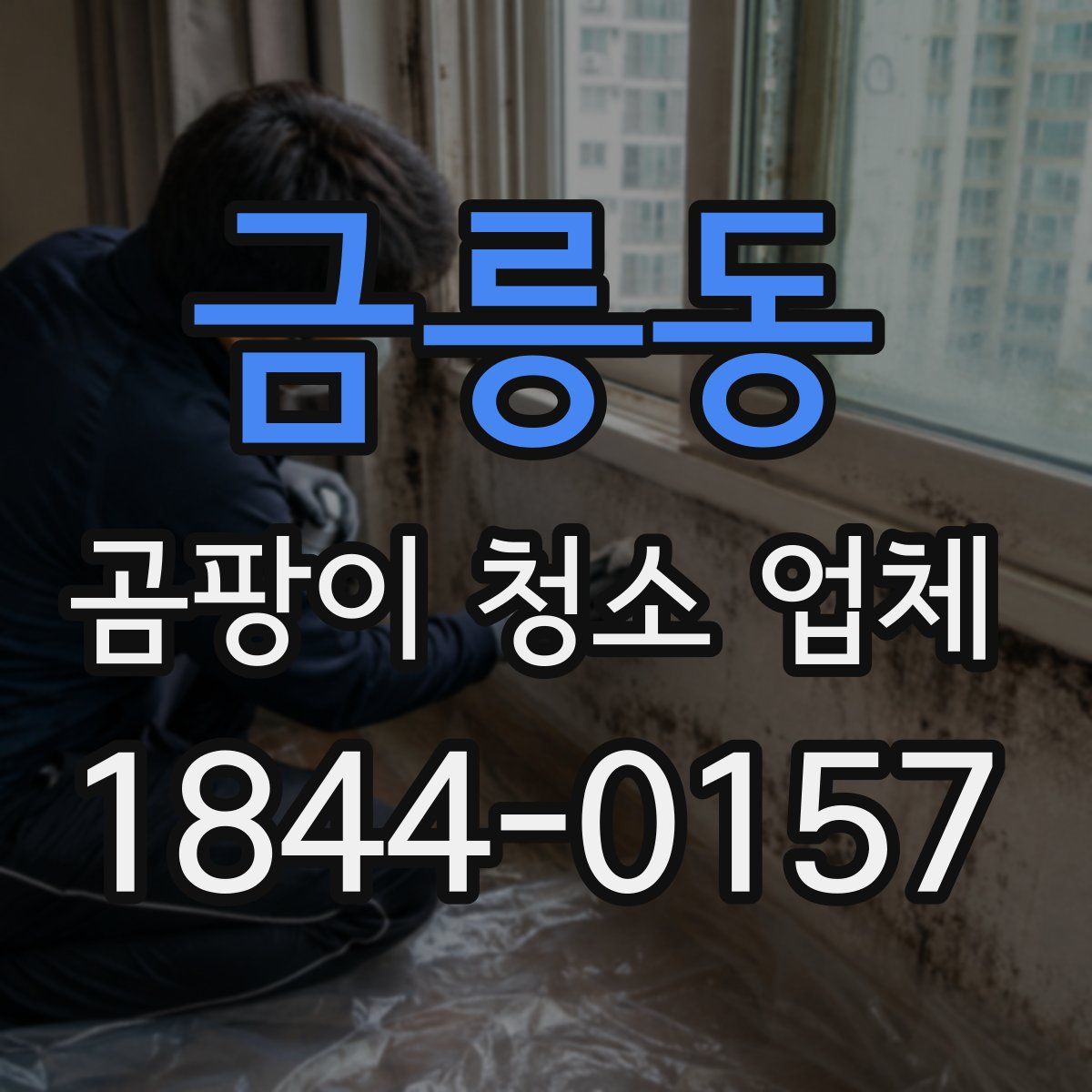 금릉동 곰팡이 청소 업체