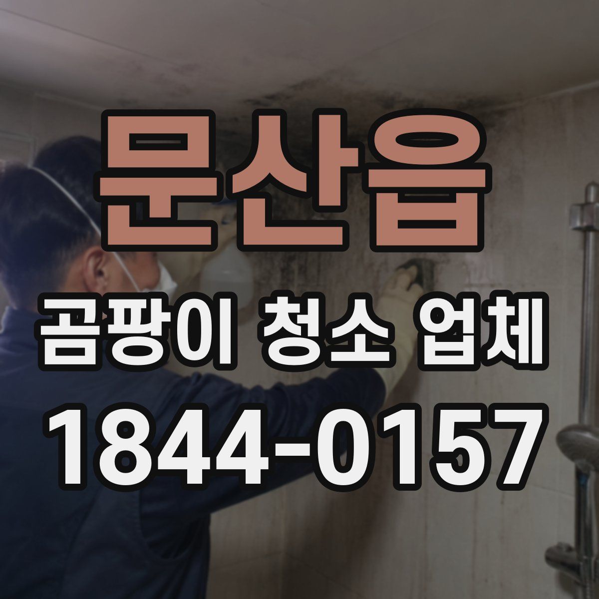 문산읍 곰팡이 청소 업체
