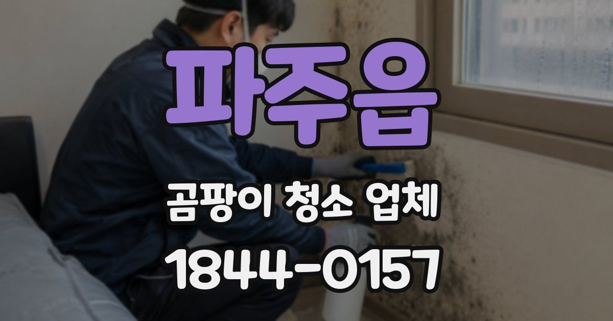 파주읍 곰팡이 청소 업체