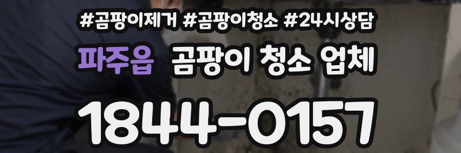 파주읍 곰팡이 청소 업체