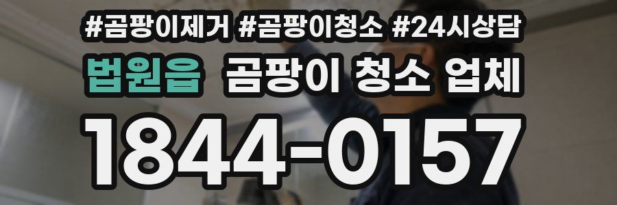 법원읍 곰팡이 청소 업체