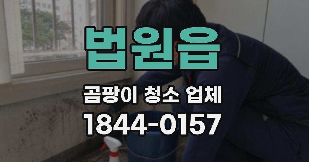 법원읍 곰팡이 청소 업체