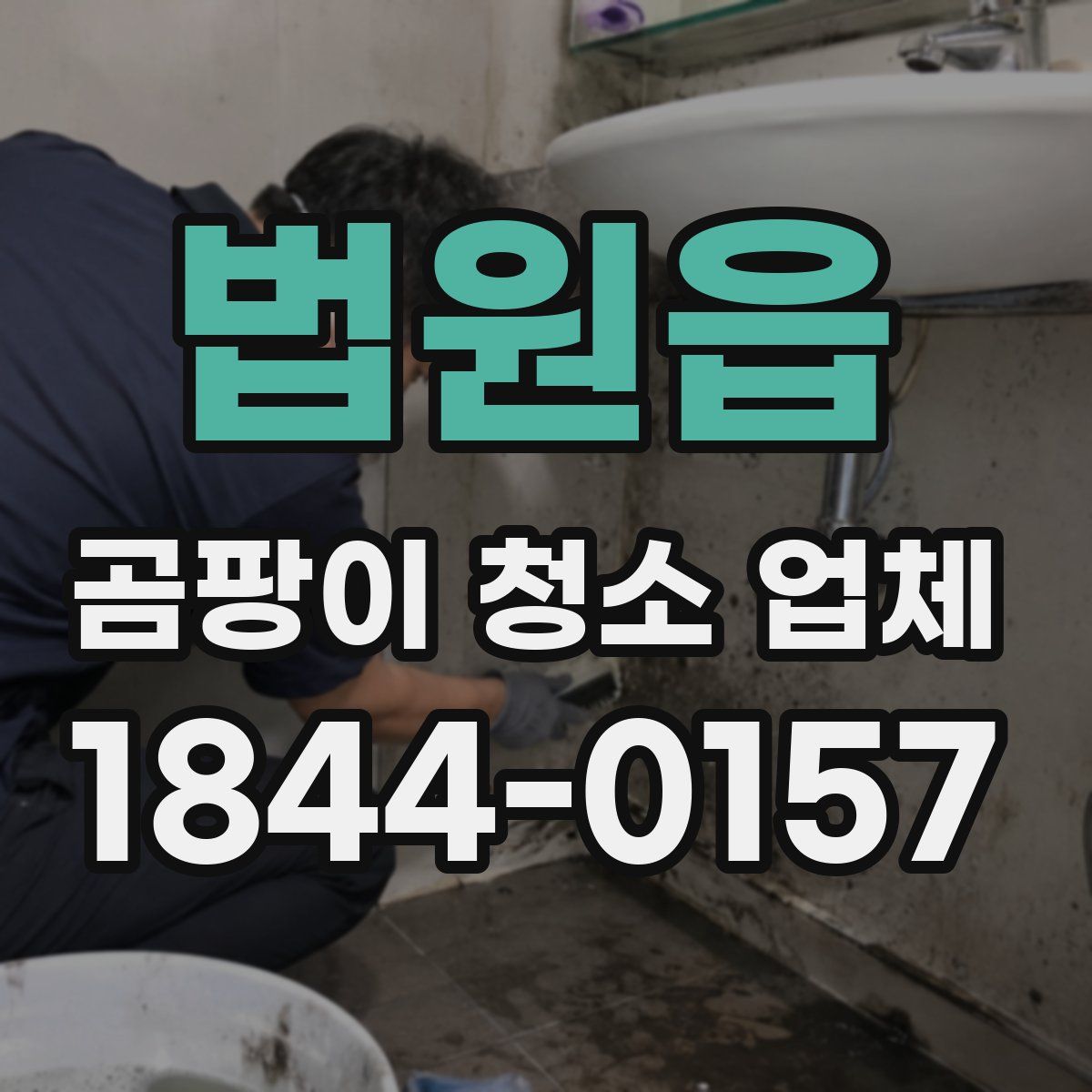 법원읍 곰팡이 청소 업체