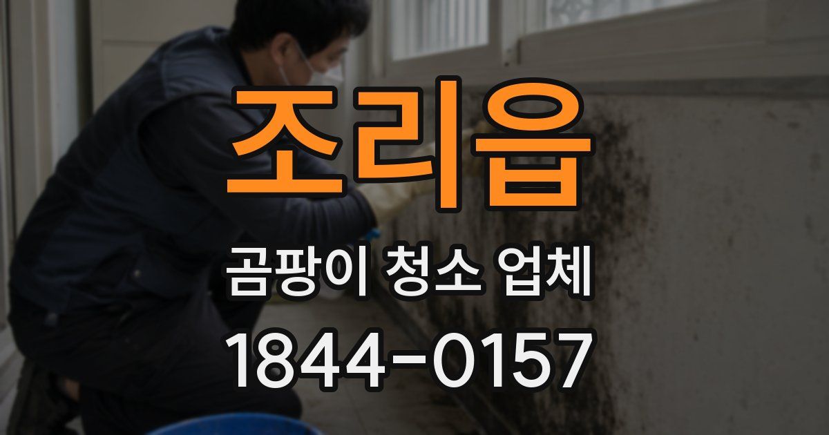 조리읍 곰팡이 청소 업체