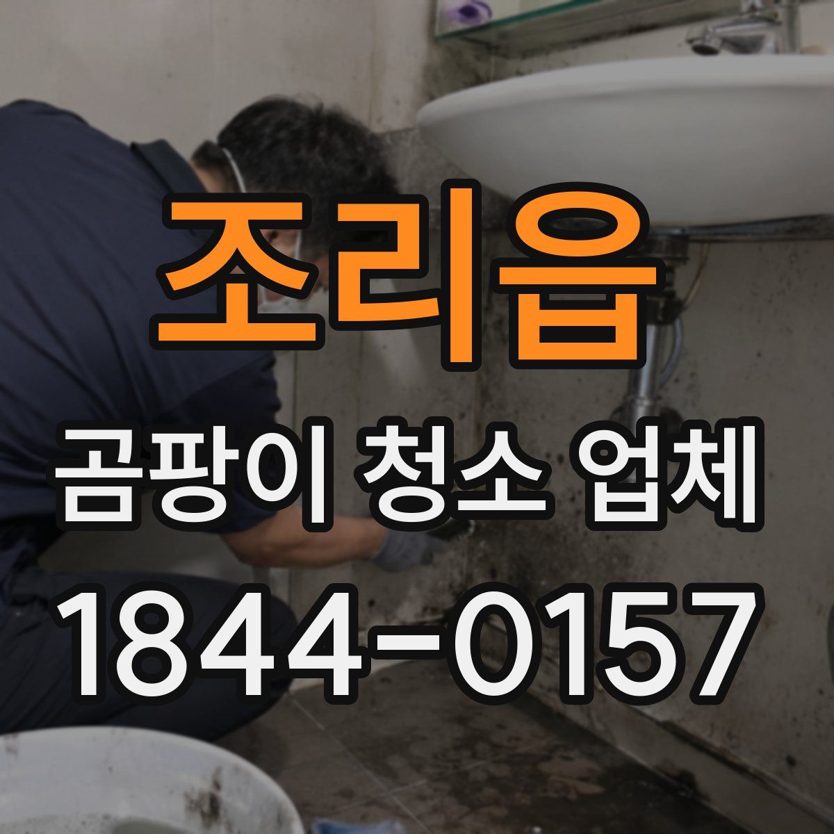 조리읍 곰팡이 청소 업체