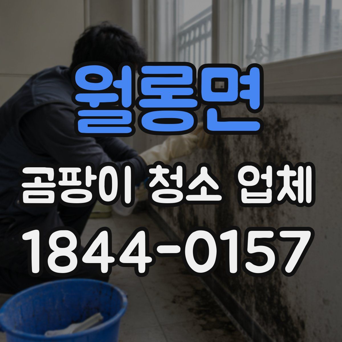 월롱면 곰팡이 청소 업체