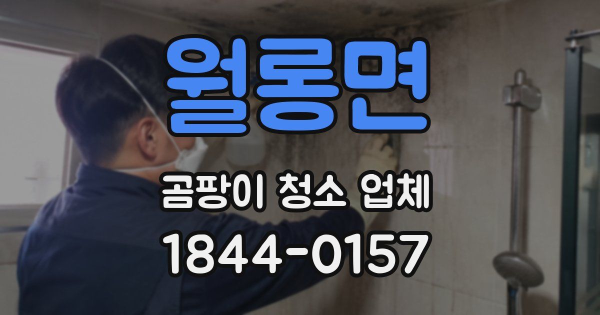 월롱면 곰팡이 청소 업체