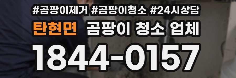 탄현면 곰팡이 청소 업체