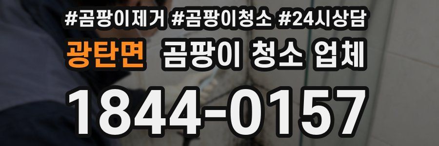 광탄면 곰팡이 청소 업체