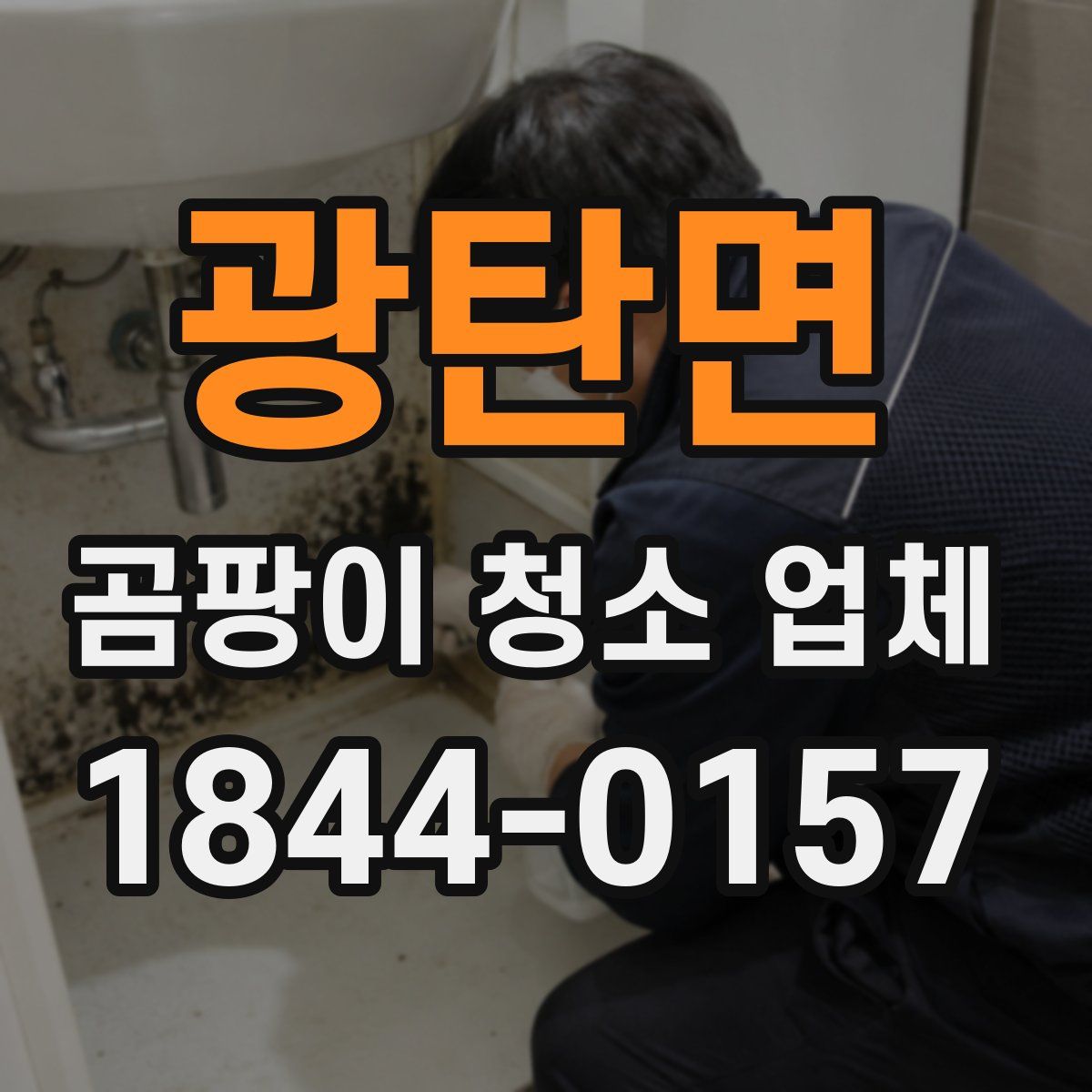 광탄면 곰팡이 청소 업체