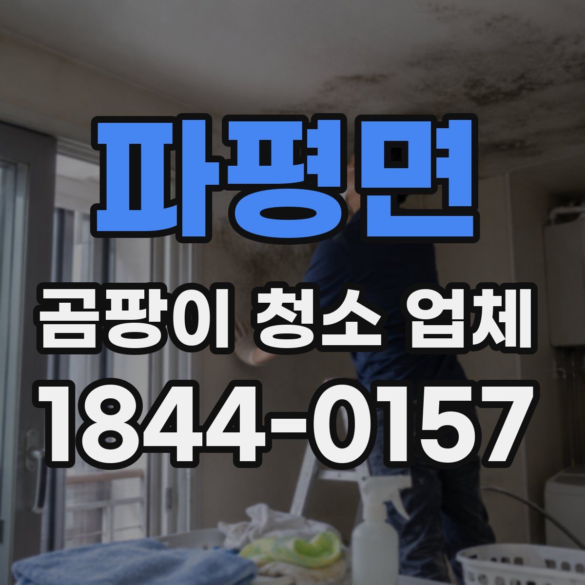 파평면 곰팡이 청소 업체