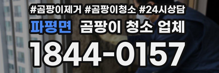 파평면 곰팡이 청소 업체